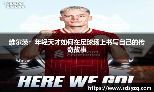 三亿体育有限公司